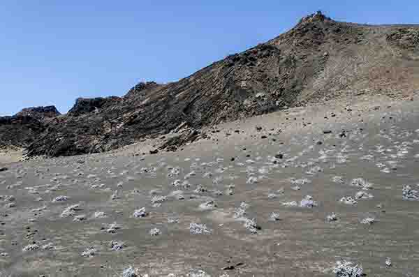 12 - Ecuador - islas Galapagos - isla Bartolome